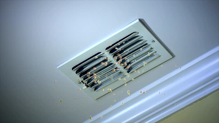 Best Affordable Air Duct Cleaning  in Shinglehouse, PA